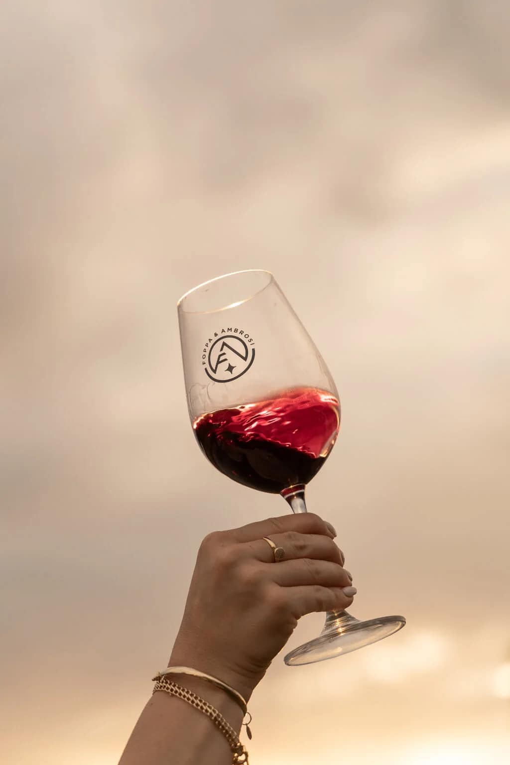 mão segurando taça de vinho ao ar